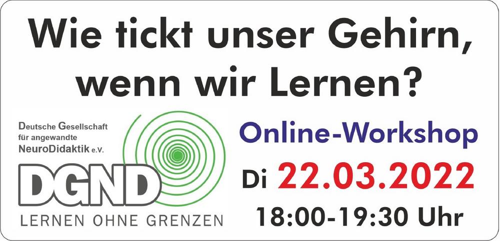 Online-Workshop: Wie tickt unser Gehirn, wenn wir lernen? (Workshop | Online)