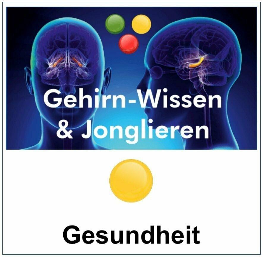 Gehirn-Wissen & Jonglieren für Gesundheitsberufe (1 Tag) (Workshop | München)