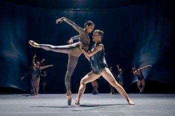 Ballet of Difference (Ausstellung | Bregenz)