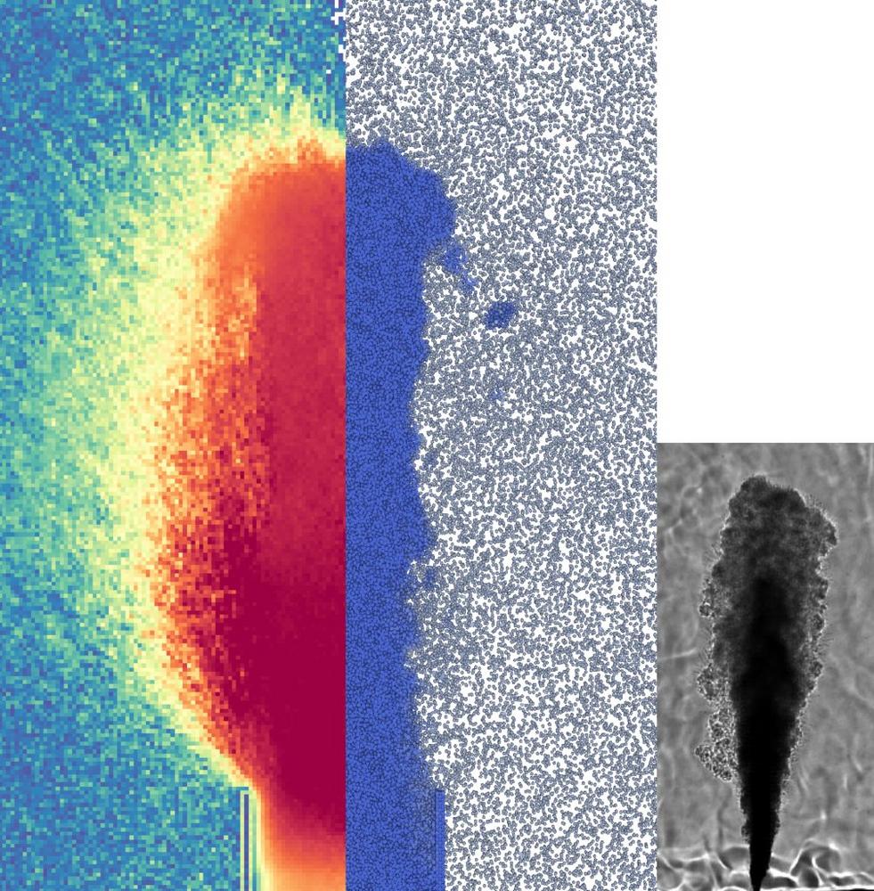 International Workshop on Molecular Modeling and Simulation (Workshop | Frankfurt am Main)