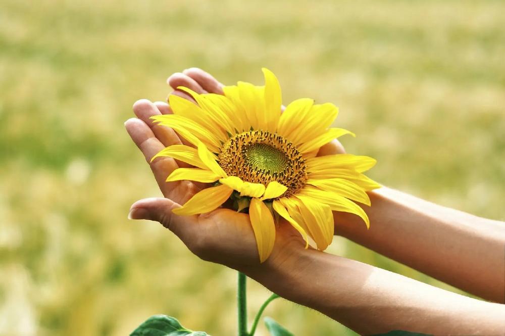 Resilienz: Stress bewältigen und innere Stärken aktivieren (Seminar | Freiburg im Breisgau)